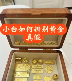黄金实物该选金条还是金币？