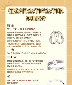 明牌珠宝铂金价格今天多少一克（2025年12月24日）