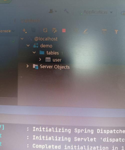 2025年06月24日星光达珠宝黄金最新价格多少一克