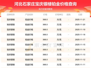 2026年01月11日宝庆银楼铂金最新价格多少一克