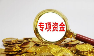 专项资金是指什么