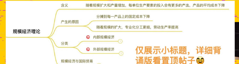 内部规模经济是什么