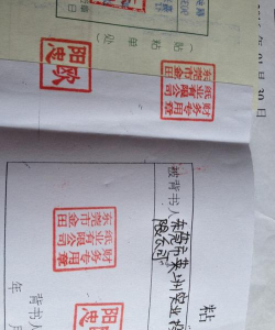 会计背书是什么意思