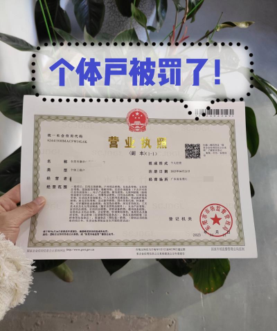 个体工商户是什么意思