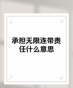 无限连带责任是什么