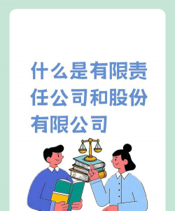 有限责任是什么