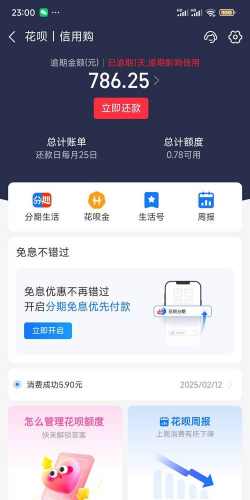 花呗出账日是什么意思