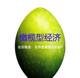 383橄榄型经济是什么意思