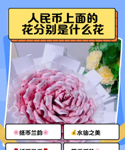人民币上面的花分别是什么花