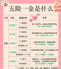 自己交公积金和单位交有什么区别