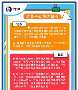 全资控股什么意思