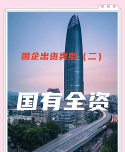 国有独资和国有全资的区别