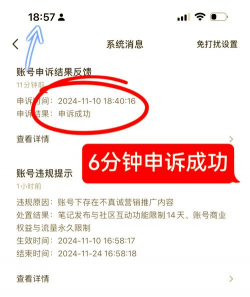 申诉是什么意思