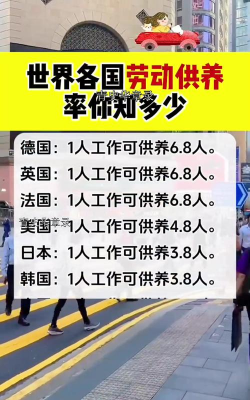 瞻养比率是什么