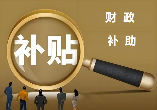 财政补贴是什么