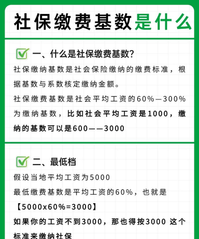 缴费基数什么意思