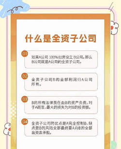 全资子公司是什么意思