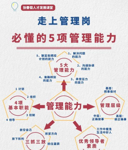 管理的定义是什么