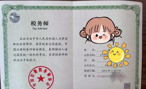 全国税务师指的是什么