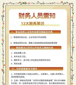 税务三重一大内容包括