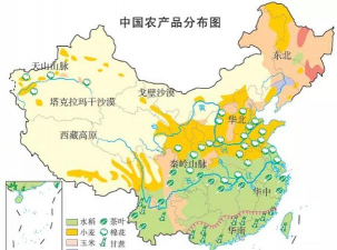 经济作物是什么