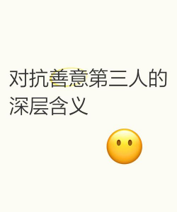 对抗善意第三人的意思