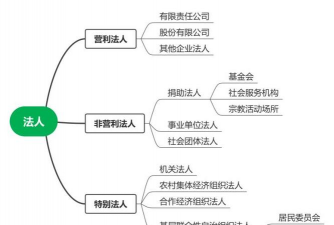 法人组织和非法人组织的区别