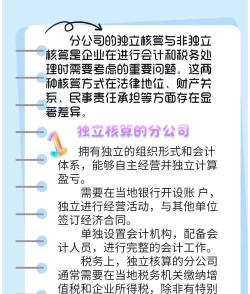 分公司独立核算和非独立核算区别