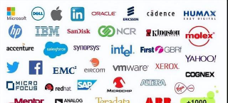 跨国公司是什么