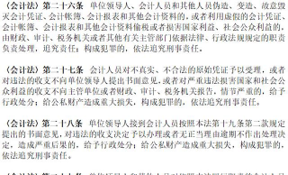 会计初级刑事责任包括