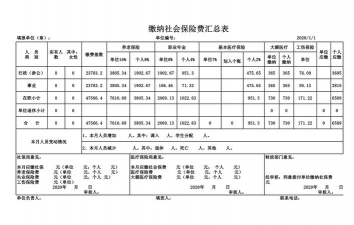 初级会计社会保险费包括