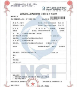 可变寿险保单是什么