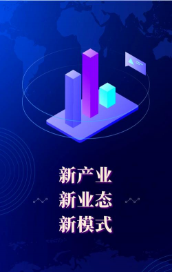 新经济是什么