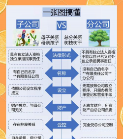 分支机构和分公司的区别