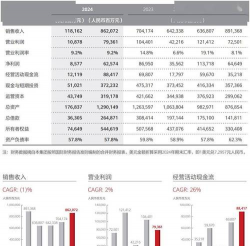 净销售额是什么