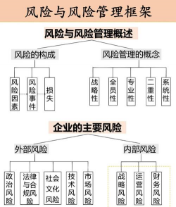 注会战略风险资本是什么