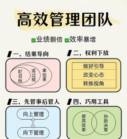 优化改组是什么