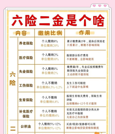 六险两金指的是什么