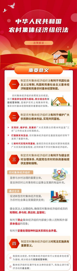 村集体经济组织是什么