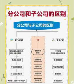 子公司和母公司的关系