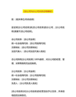 总公司与分公司的关系