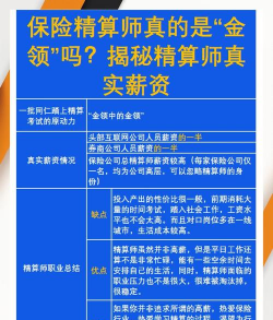 精算师可以到哪些单位就业