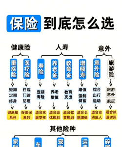 保险分为哪几种类型
