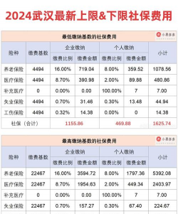 社保月缴费基数是什么