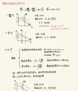 弹性价格货币模型的概述