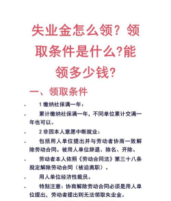 失业保险金如何计算