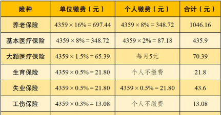 个人缴费基数是什么意思