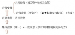 共同控制及其判断原则的概述