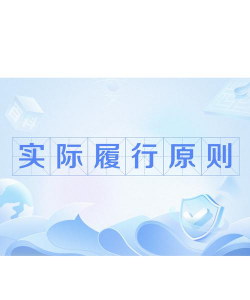 实际履行原则的概述