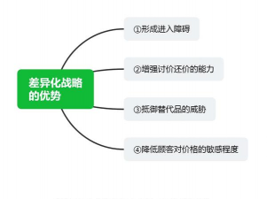 差异化战略的概述